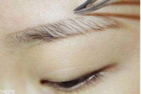 ��ü�Ĳ���,ȫ��ͼ��